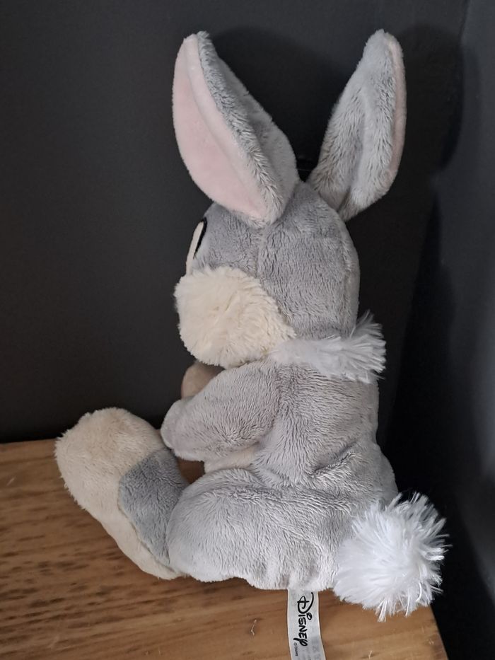 Pampam lapin disney - photo numéro 3