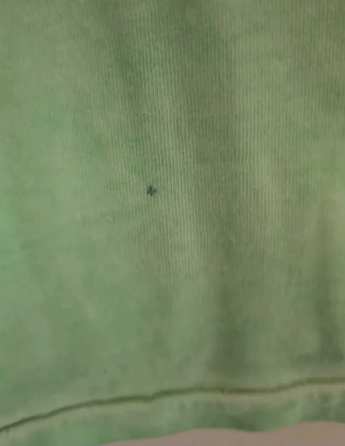 Lot de 2 tee-shirts Zara 9/10 ans - photo numéro 7