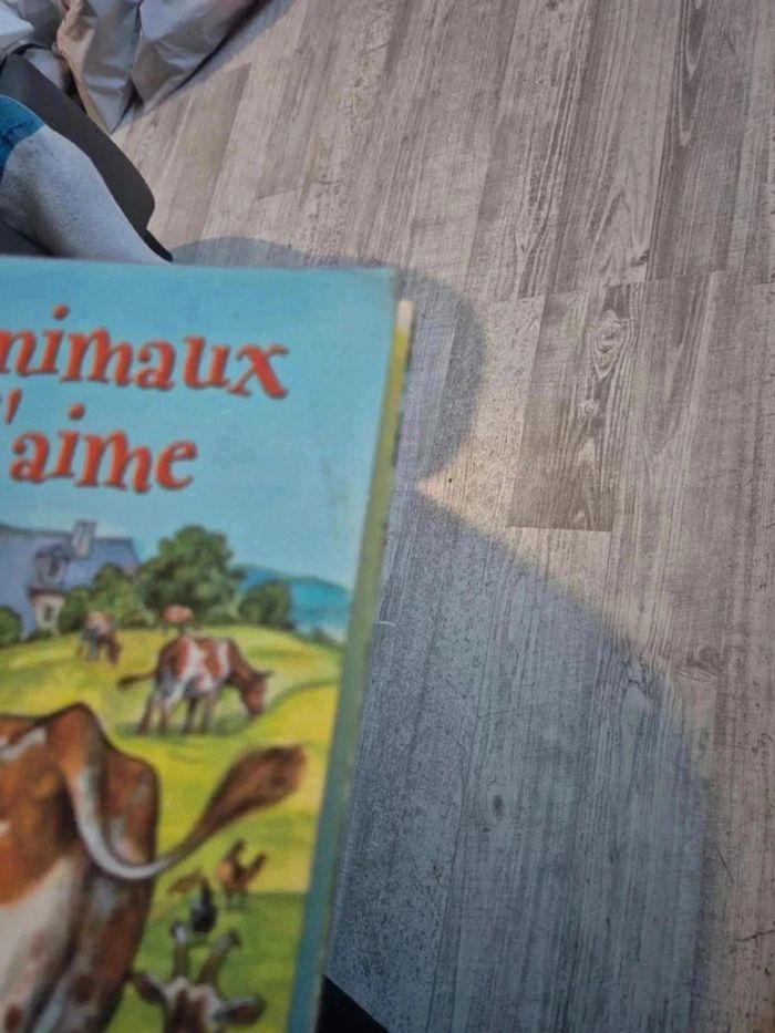 Livre - photo numéro 10