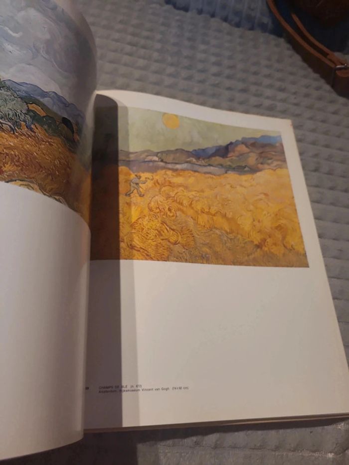 Tout l'oeuvre peint de van gogh - photo numéro 6