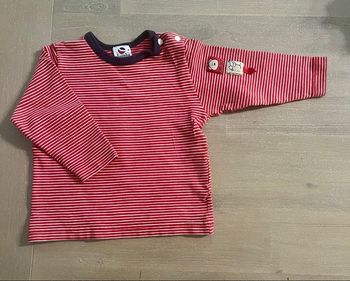 TEE shirt ml absorba