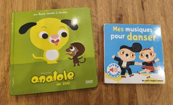 Lot de deux livres sonores et musicaux