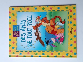 Livres Disney : Winnie l'ourson neufs