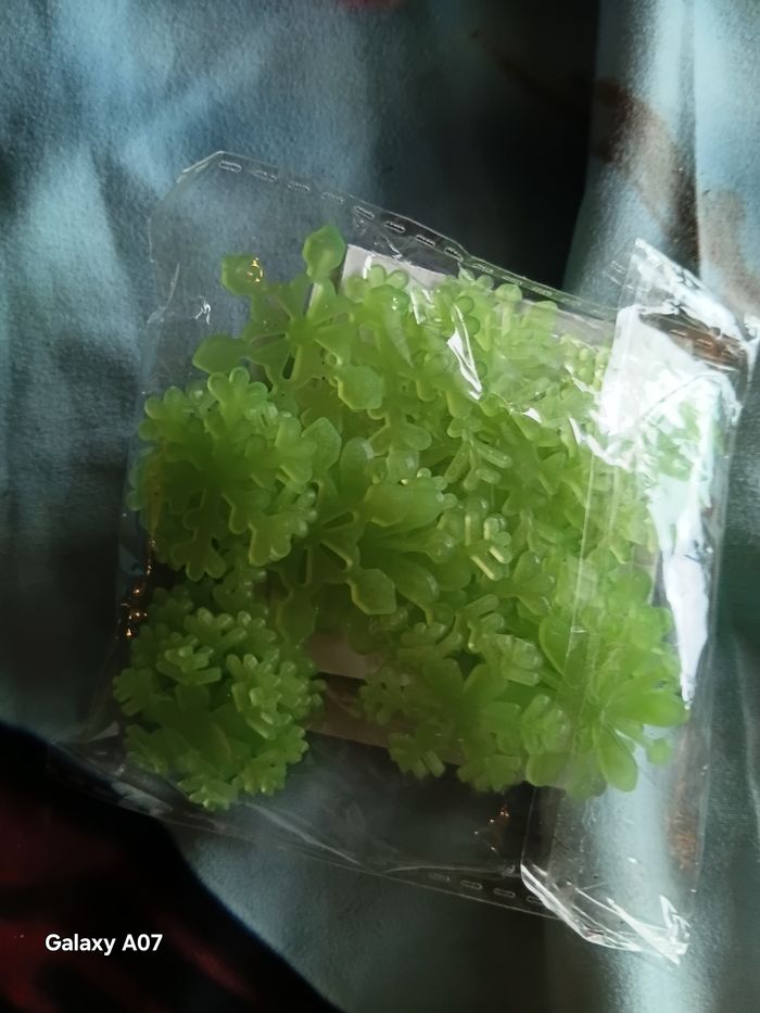 Étoiles de neige phospho - photo numéro 5