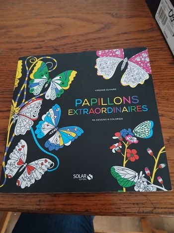 Papillons extraordinaires 