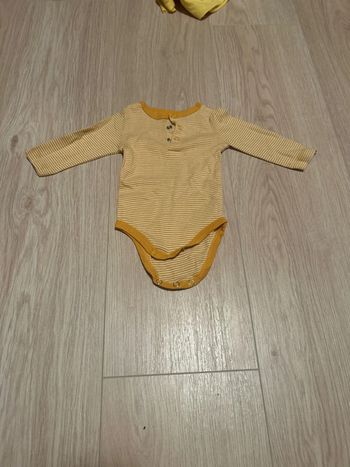 Body rayé