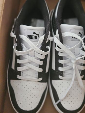 Chaussure puma
