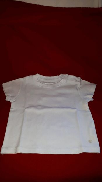 T-shirt manches courtes 12 mois