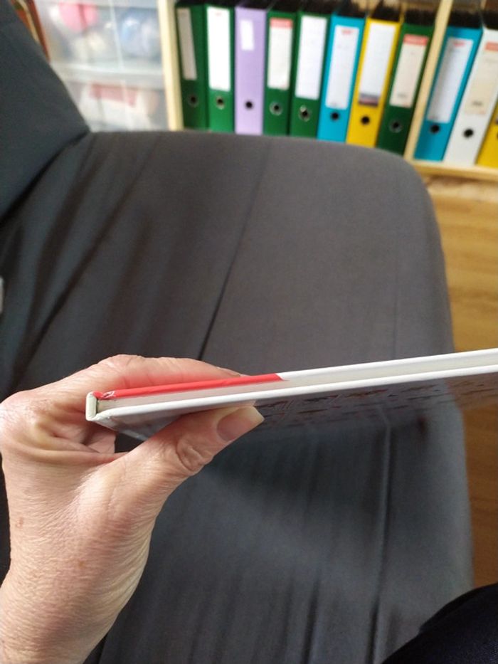 Le guide de la Drague de Tybo - Goupil - photo numéro 8