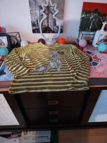 Joli tee-shirt pour les fans de dinosaures