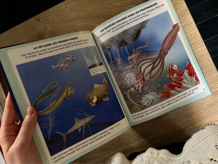 Livre L’Imagerie de la Mer Pour Enfants - photo numéro 6