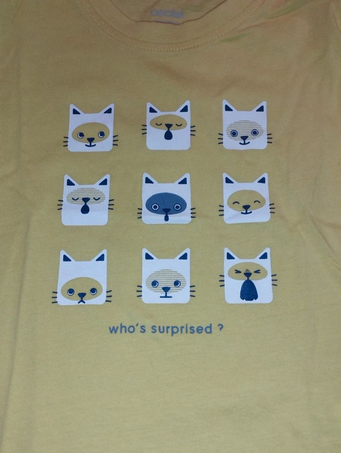 Tee shirt - photo numéro 2