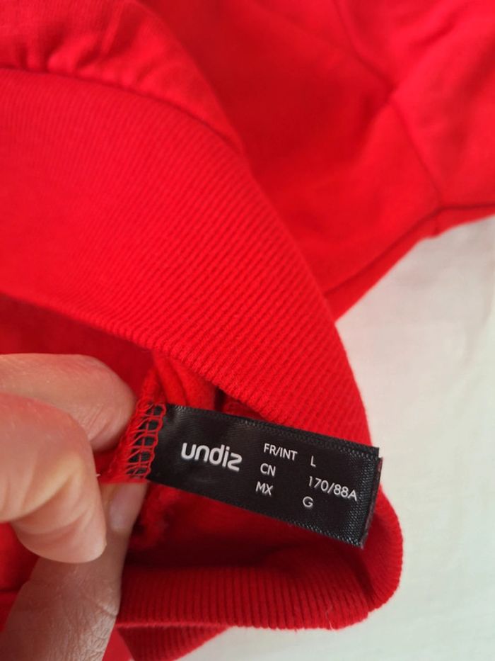 Sweat undiz taille L - photo numéro 4