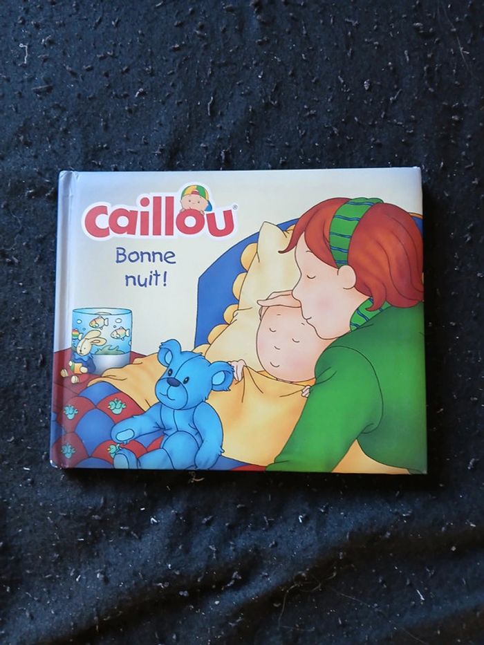 Lot de 2 livres enfant caillou - photo numéro 3