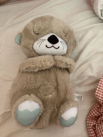 Loutre câlin fisher price 