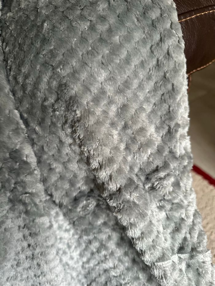 Plaid - photo numéro 3