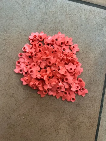 50 Plant Plate Lego , Round 1 x 1 with 3 Layered Leaves ref 32607 Corail
