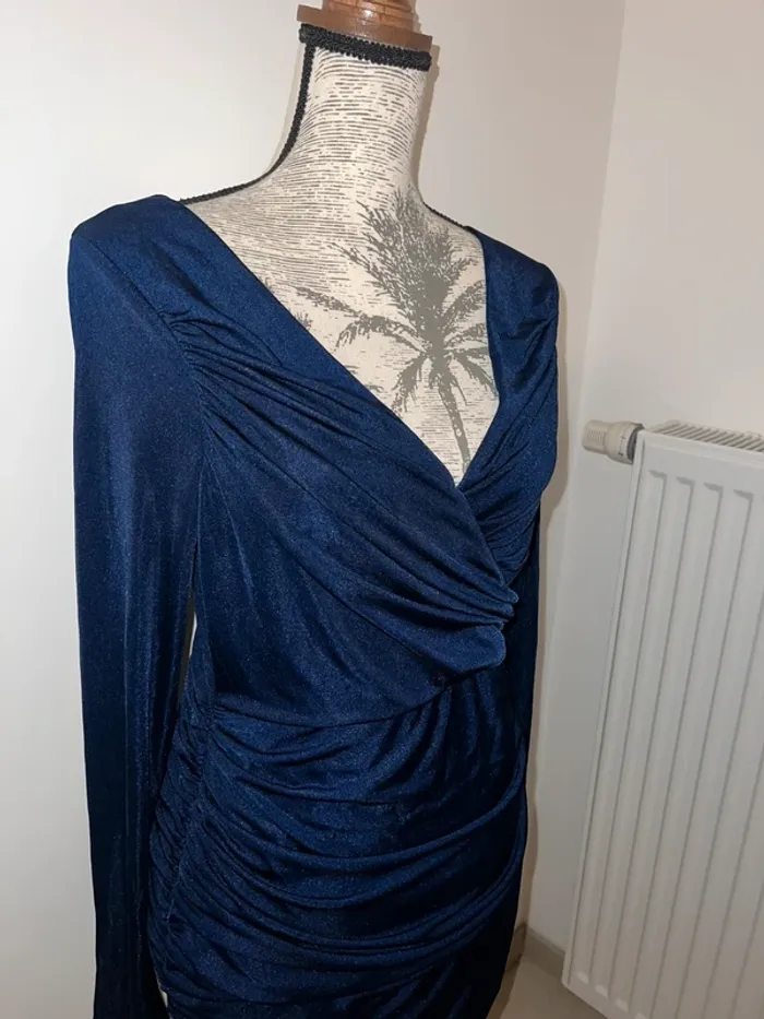 Robe bleue - photo numéro 2