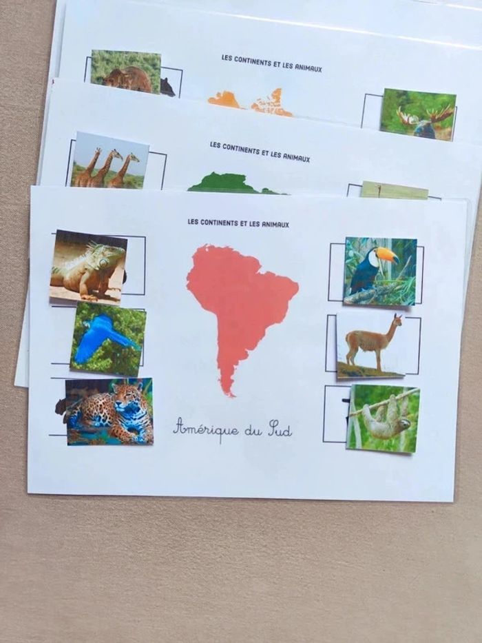 Les 7 continents et ses animaux à scratcher Montessori - photo numéro 3