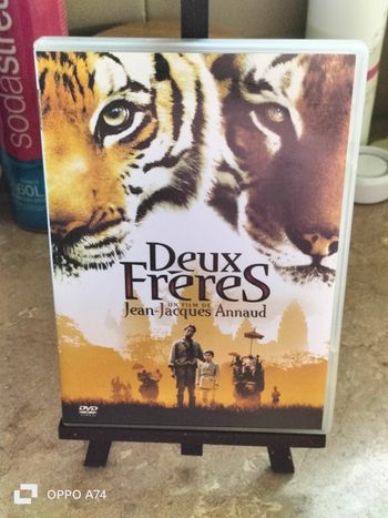 DVD 🩵 Deux freres