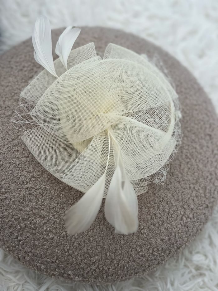 Chapeau hihi - photo numéro 6