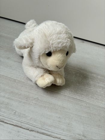 Peluche