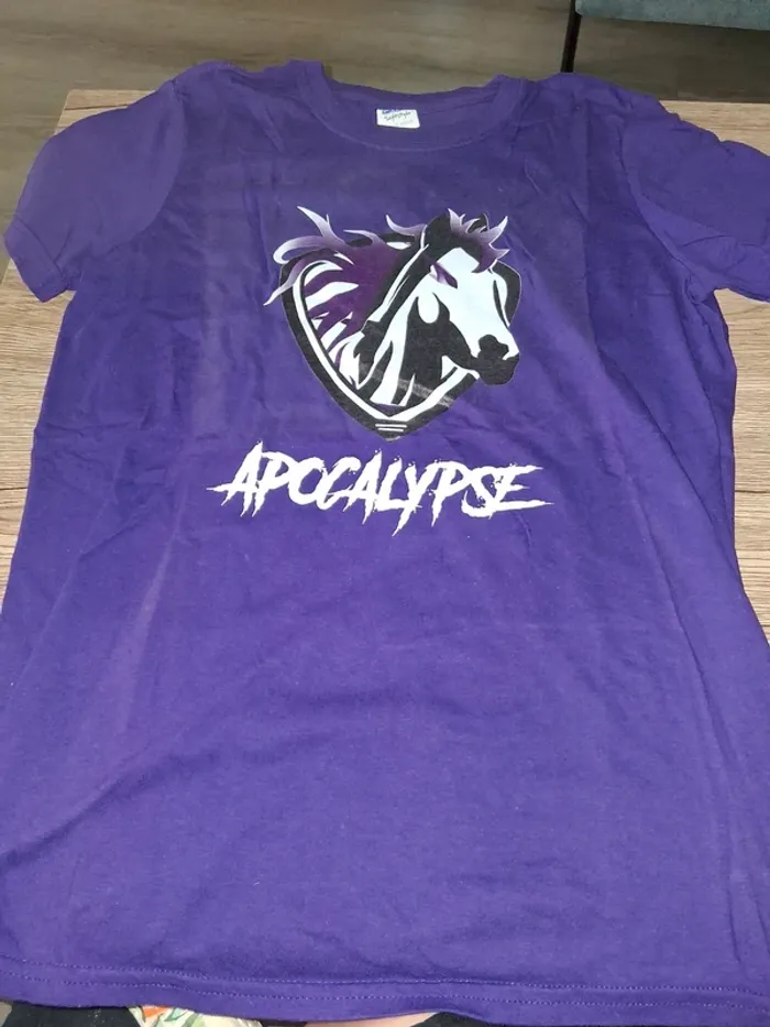 Tee shirt Softstyle