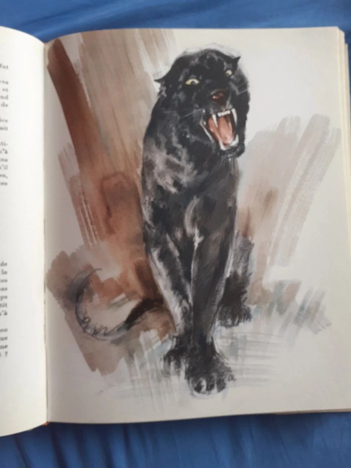 Le second livre de la Jungle - Rudyard Kipling - photo numéro 3