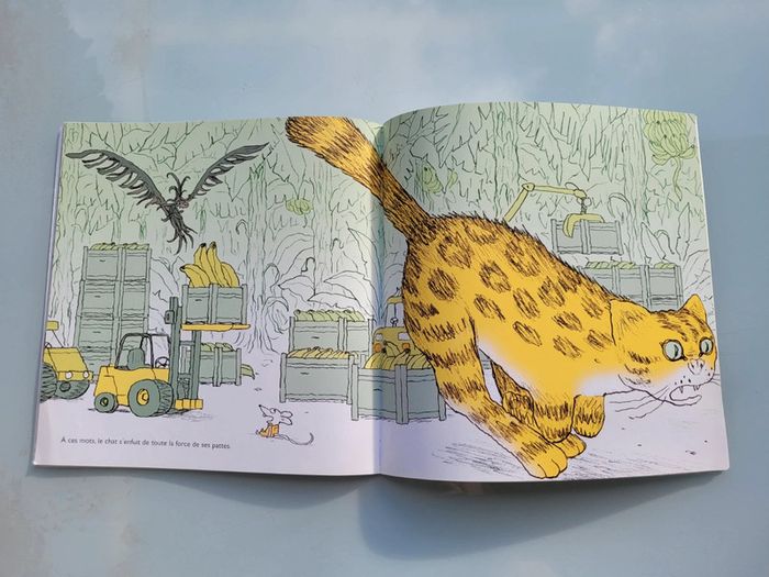 Livre l'école des loisirs couverture souple, Chauve-souris! 6/8 ans, Hubesh et Atakpama (16) - photo numéro 3