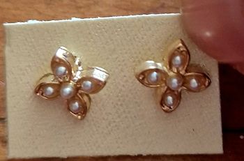 Clous d oreilles fleurs