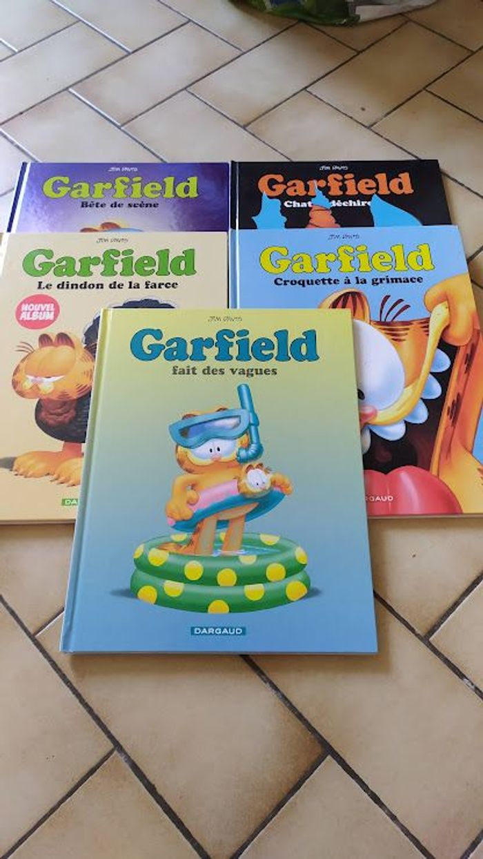 bd garfield