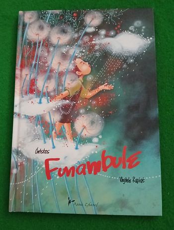 Livre funambule ( Virginie rapiat)