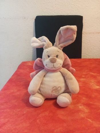 Lapin oscarine de Noukie's, 30 cm
