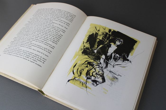 Le livre de la Jungle - 1970 - Disney - photo numéro 3