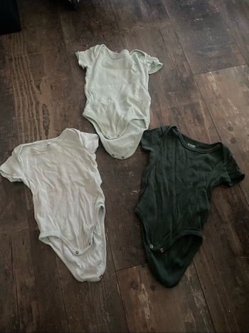 Body