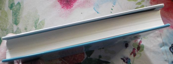 LE MANUEL DE LA MAUVAISE MERE de Kate LONG Ed. France Loisirs - photo numéro 5