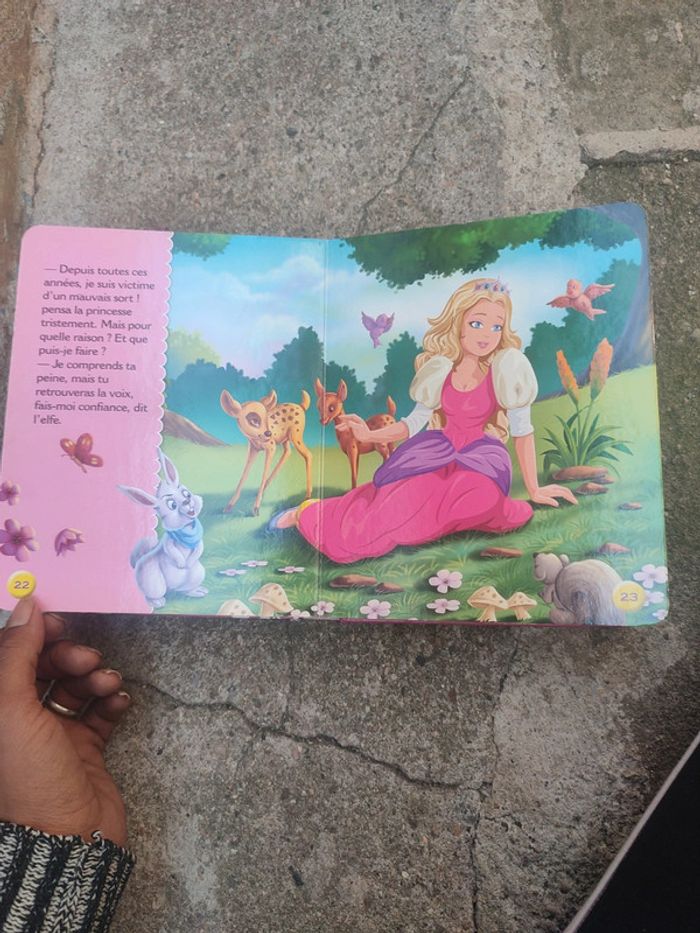 Livre le secret de la princesse - photo numéro 17