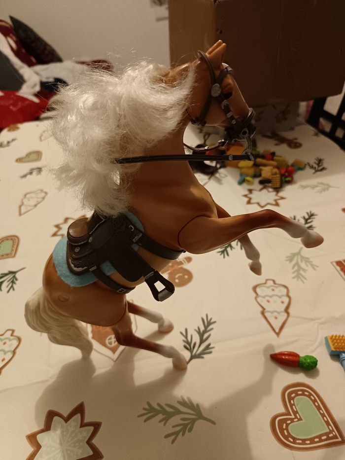 Grand Champion - Grand Palomino - photo numéro 2