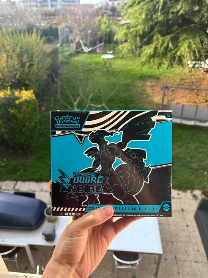 Duo ETB 10.5 Foudre Noire et Flamme Blanche - photo numéro 2