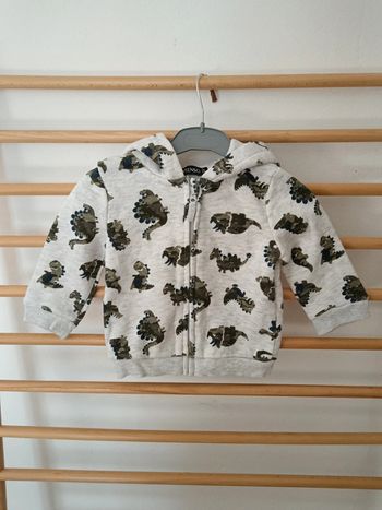 Veste in extenso dinosaure