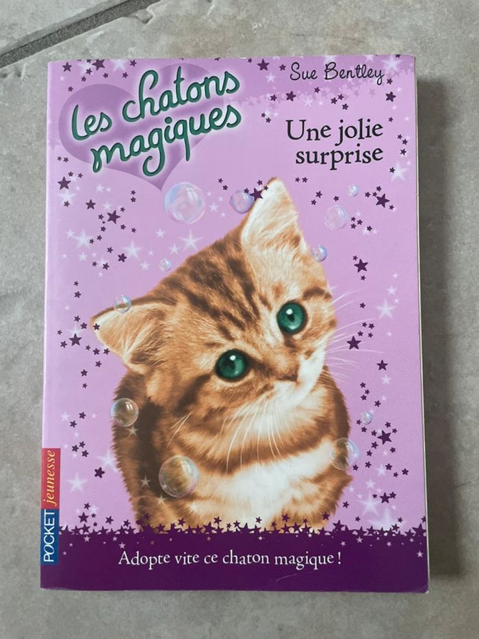 Livre les chatons magiques