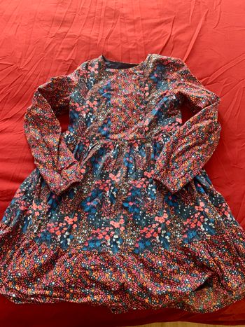 Robe du pareil au même