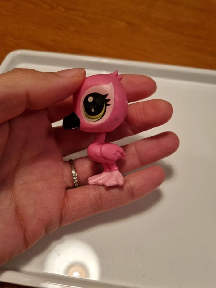 Flamand rose - photo numéro 3