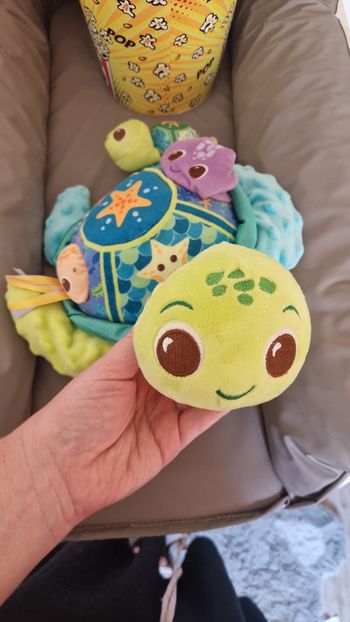 Tortu interactive