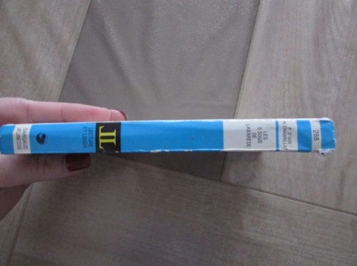 Livre Les cinq sous de Lavarède - photo numéro 3