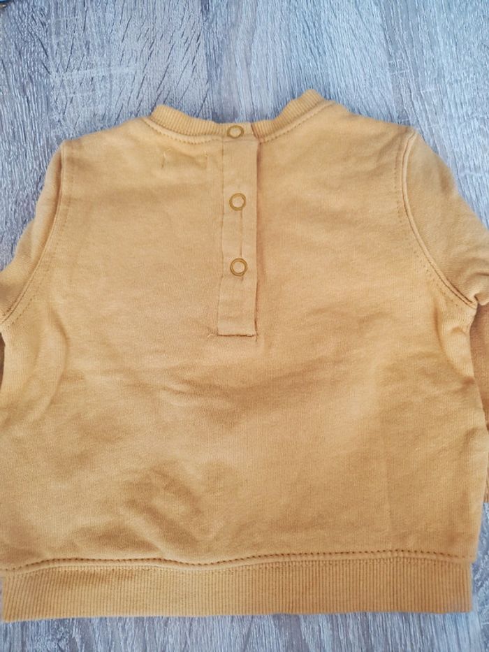 Pull raton laveur - photo numéro 3