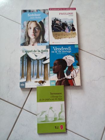 Lot de 5 livres de poche - niveau collège