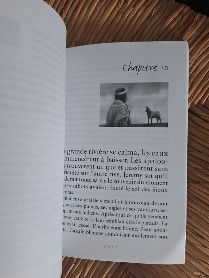 Livre Jérémy cheval - photo numéro 5