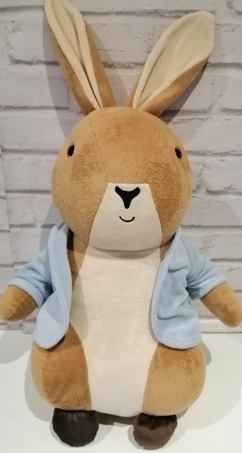 Grand gros lapin picoti