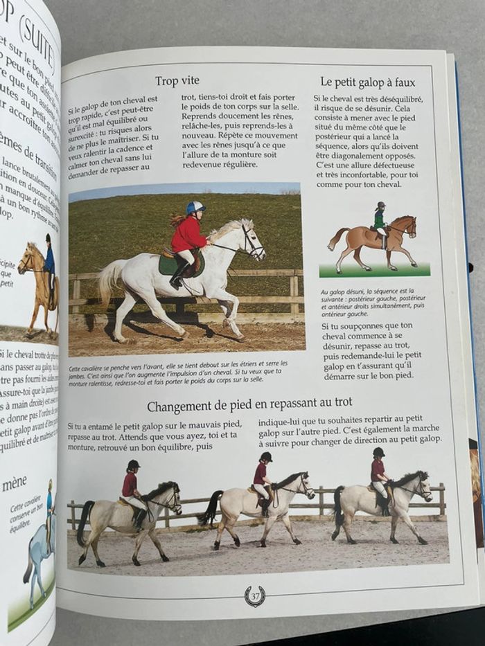 Le Grand Livre Du Cheval Et De L'Equitation - photo numéro 4